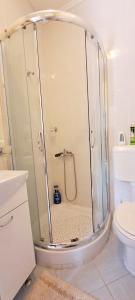 a shower with a glass door in a bathroom at Dignano in Vodnjan +14 photos