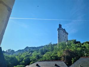 a castle on top of a hill with trees at Le Jeanne d'Arc in Chinon