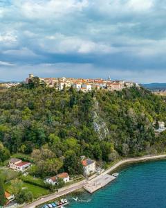 an aerial view of a resort on a hill next to the water at Studio Lokvica in Omišalj