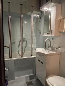 Koupelna v ubytování Igalo Apartman Despich