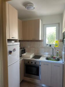 a kitchen with a white refrigerator and a sink at Apartman Majba 2 in Zaglavice +12 photos
