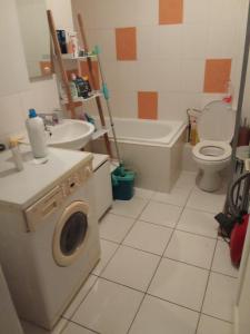 Un baño con lavadora y un inodoro. en Zimmer in eine whg in 63 rue des abeilles, en Mulhouse