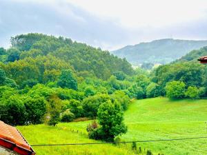 a green field with trees and a hill in the background at Elegante Adosado en Ampuero in Rasines