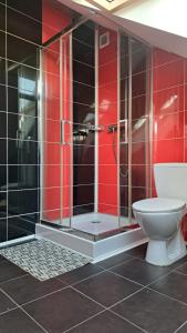 a bathroom with a shower with a toilet and red walls at Leśne ZACISZE in Świerzno +31 photos