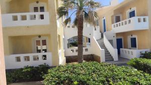 a building with a palm tree in front of it at Niros Beachfront Aparthotel in Kokkíni Khánion