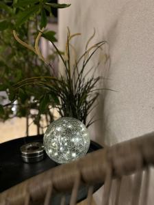 Fotografie z fotogalerie ubytování Vila Nicolas v destinaci Saturn