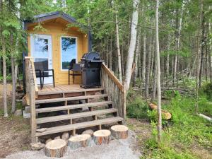 Fotografie z fotogalerie ubytování Wood Duck Cabin, Hike in or 4x4 vehicle, 120m v destinaci Golden Lake