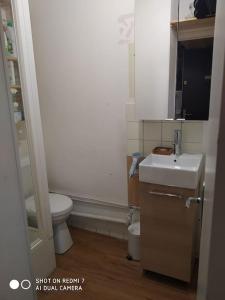 ein kleines Badezimmer mit Toilette und Waschbecken in der Unterkunft STUDIO 6 PERS LE BOIS D'AUROUZE 2eme étage NORD in Superdevoluy