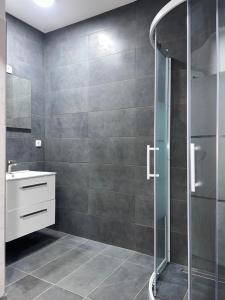 a bathroom with a shower and a sink at ROYAL RACiING SUITE TOP 4 in Judenburg