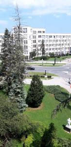 Gallery image of Apartment Quay for EXIT festival in Novi Sad