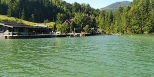 a large body of water with houses and trees at Echilibru in Colibiţa