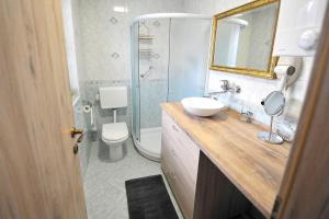 a bathroom with a sink and a toilet and a shower at Aparthouse SUPREME with Terme Catez Swimming Pools Tickets in Čatež ob Savi +21 photos