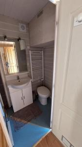 ein kleines Badezimmer mit Toilette und Waschbecken in der Unterkunft Entre Lac Et Montagnes in Bernex