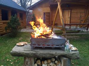 a fire pit in front of a log cabin at Villa PidStromom in Mykulychyn
