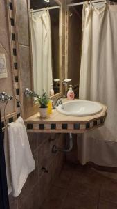 a bathroom with a sink and a shower and a mirror at Cabaña acogedora y cómoda en el centro de la ciudad in San Martín de los Andes