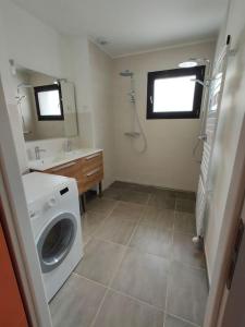 サン・ボネ・ド・ミュールにあるVilla - Saint Bonnet de Mureの洗濯機と洗面台を備えたバスルーム