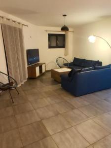 サン・ボネ・ド・ミュールにあるVilla - Saint Bonnet de Mureの青いソファとテレビのあるリビングルーム