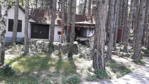 Hoone, kus apartement asub