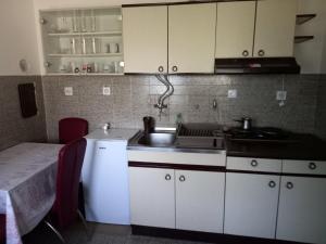 Köök või kööginurk majutusasutuses Apartman medju borovima