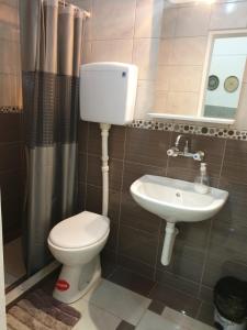 Koupelna v ubytování Apartman medju borovima