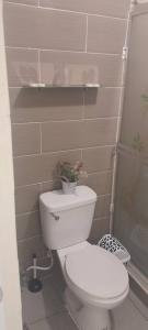 a bathroom with a toilet with a plant on it at SDQ Apartamento Marbella 2 in La Ureña +16 photos