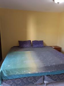 Ένα ή περισσότερα κρεβάτια σε δωμάτιο στο La Casa de Pedro Hostel