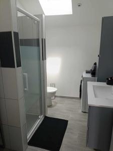 a bathroom with a shower and a sink and a toilet at La Petite Falaise, maison avec cour Dreux centre in Dreux +8 photos