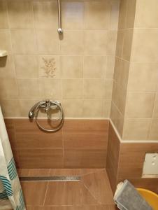 Koupelna v ubytování Apartman Kiwi