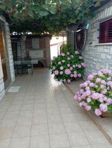 Zahrada ubytování Apartman Kiwi