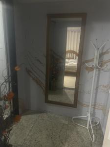 a mirror on a wall in a room at Hotel Pousada Irmaos Freyhardt in Rio de Janeiro
