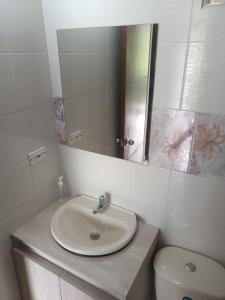 a bathroom with a sink and a mirror and a toilet at Hermoso apartamento en Girardot in Girardot