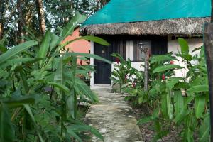 a house with a thatched roof and a pathway leading to it at Hotel Caba&ntilde;as Safari in Palenque