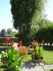 Pri Ancki B&B Ljubljana suburbs 야외 정원