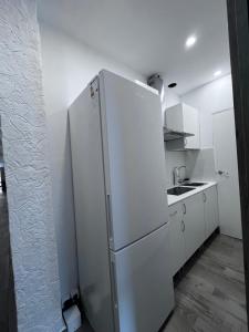 Kuchyň nebo kuchyňský kout v ubytování Habitación turística en Irún