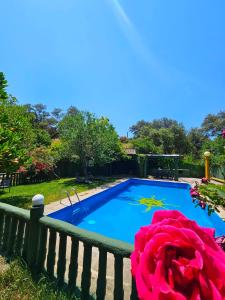 a small swimming pool with a pink flower next to it at Finca rural Labriega del hueznar in Cazalla de la Sierra