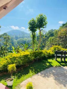 a park with a bench and a view of the mountains at Ella Willow Cottage in Ella
