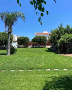 a green field with a palm tree and a building at 3-Bedroom House Near the Beach in Paralimni