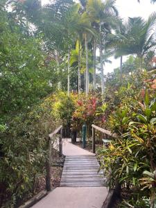 Zahrada ubytování The Villas Palm Cove