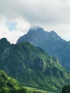 a mountain covered in green bushes and trees at Kazbegi Mountain Cottage MTA-Shi in Kazbegi