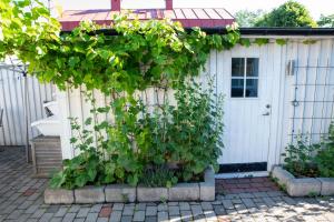 Aed väljaspool majutusasutust Guest House Tullgatan 24