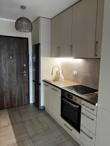 Kuchyňa alebo kuchynka v ubytovaní Apartament na Wydmach