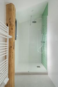 a bathroom with a shower with green tile at La maison du Sophora grande maison 3 chambres in Saint-Didier-de-Formans