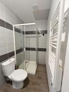 a bathroom with a toilet and a shower at Le Grand RepublicainT2 in Le Péage-de-Roussillon +14 photos