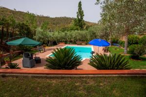 a swimming pool with two umbrellas and two plants at Tenuta Severino in Santa Caterina Dello Ionio Marina