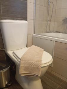 イオアニナにあるKaterina's guest houseのバスルーム(タオル付きトイレ付) +32枚の写真