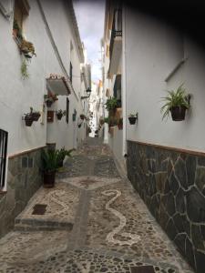 Billede fra billedgalleriet på Casa del Músico i Casarabonela