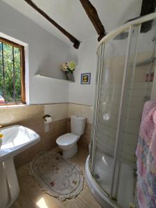 ein Badezimmer mit Dusche, Toilette und Waschbecken in der Unterkunft Corias Casona junto al Narcea in Corias + 42 Fotos