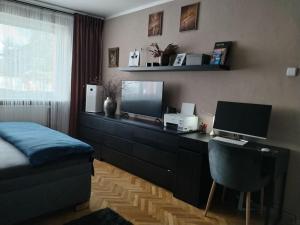 TV a/nebo společenská místnost v ubytování Nice HOME