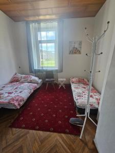 a bedroom with two beds and a red rug at Lemmerer Homestay in Sankt Lorenzen bei Knittelfeld