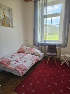 a bedroom with a bed and a chair and a window at Lemmerer Homestay in Sankt Lorenzen bei Knittelfeld